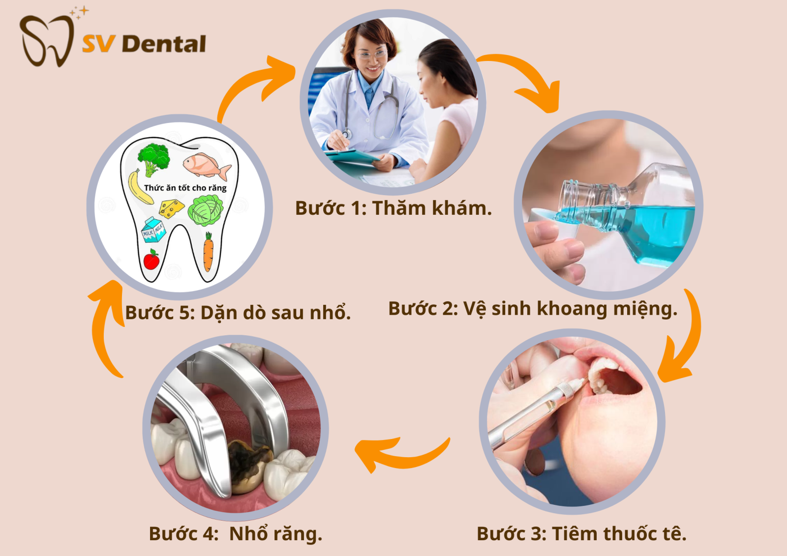 Hình ảnh nha khoa Sv 