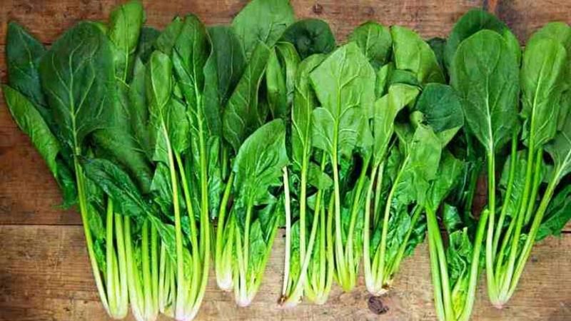 Hình ảnh cải bó xôi